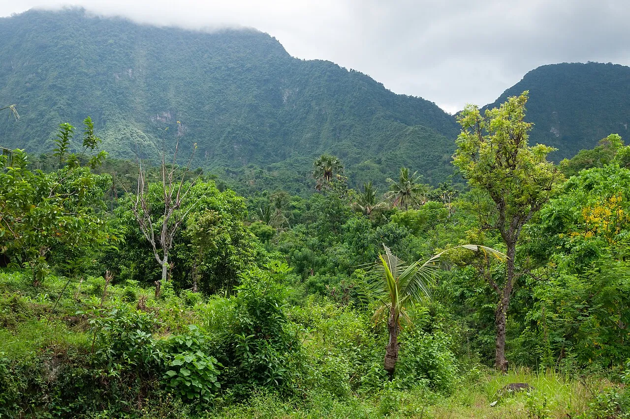 Bali