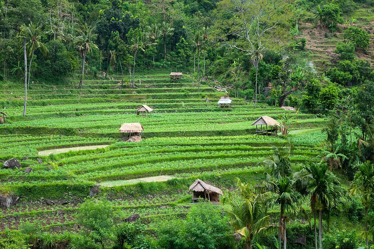 Bali