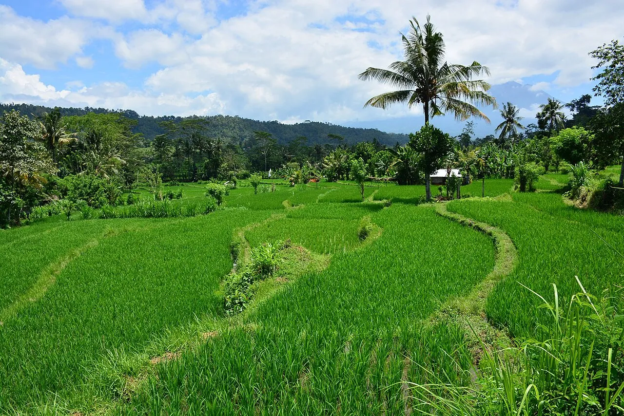Sidemen Valley, Bali