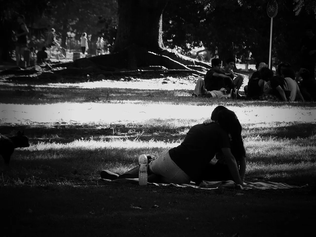 Bosques de Palermo, Buenos Aires