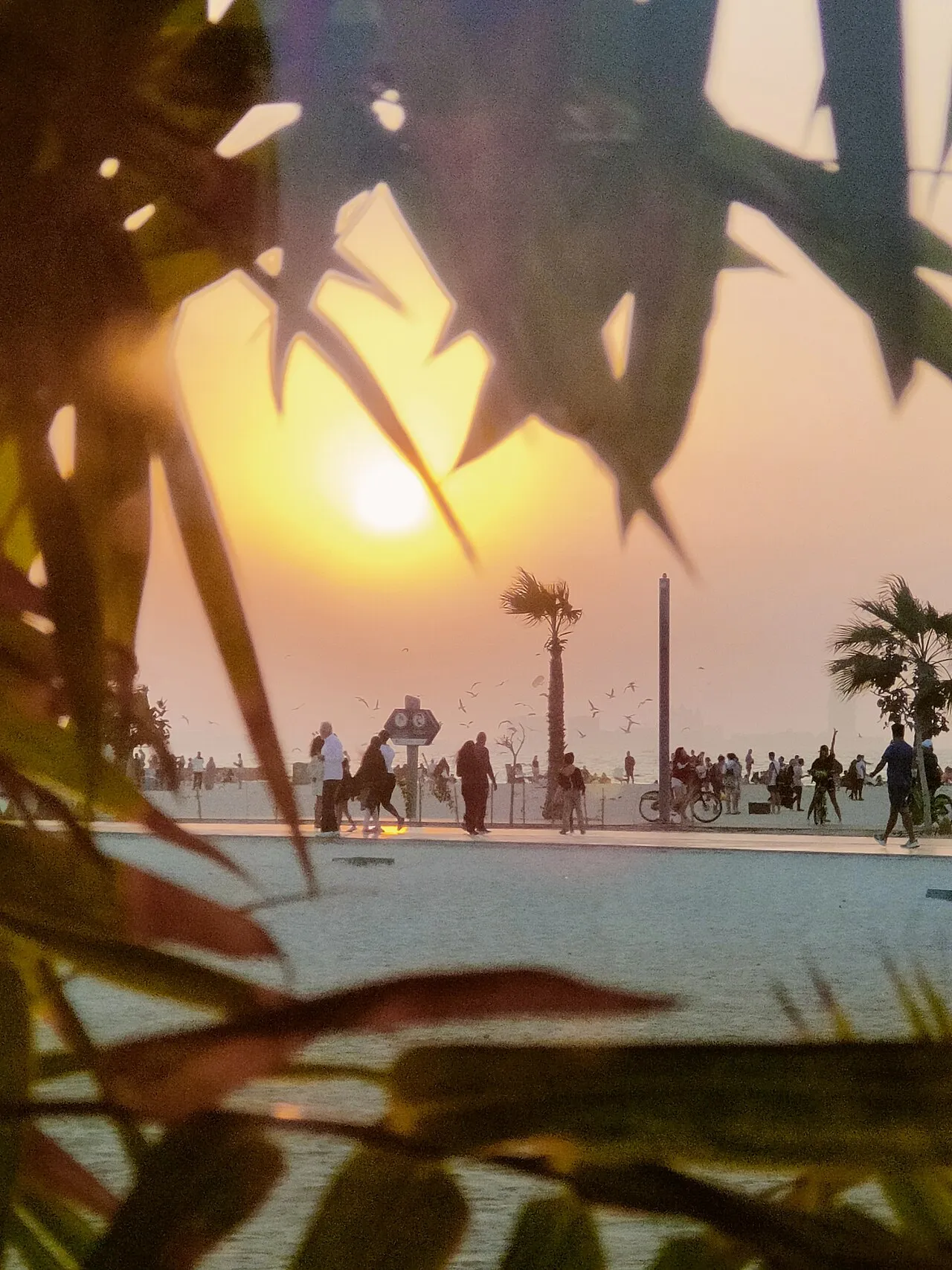 Sunset at Kite Beach, Dubai