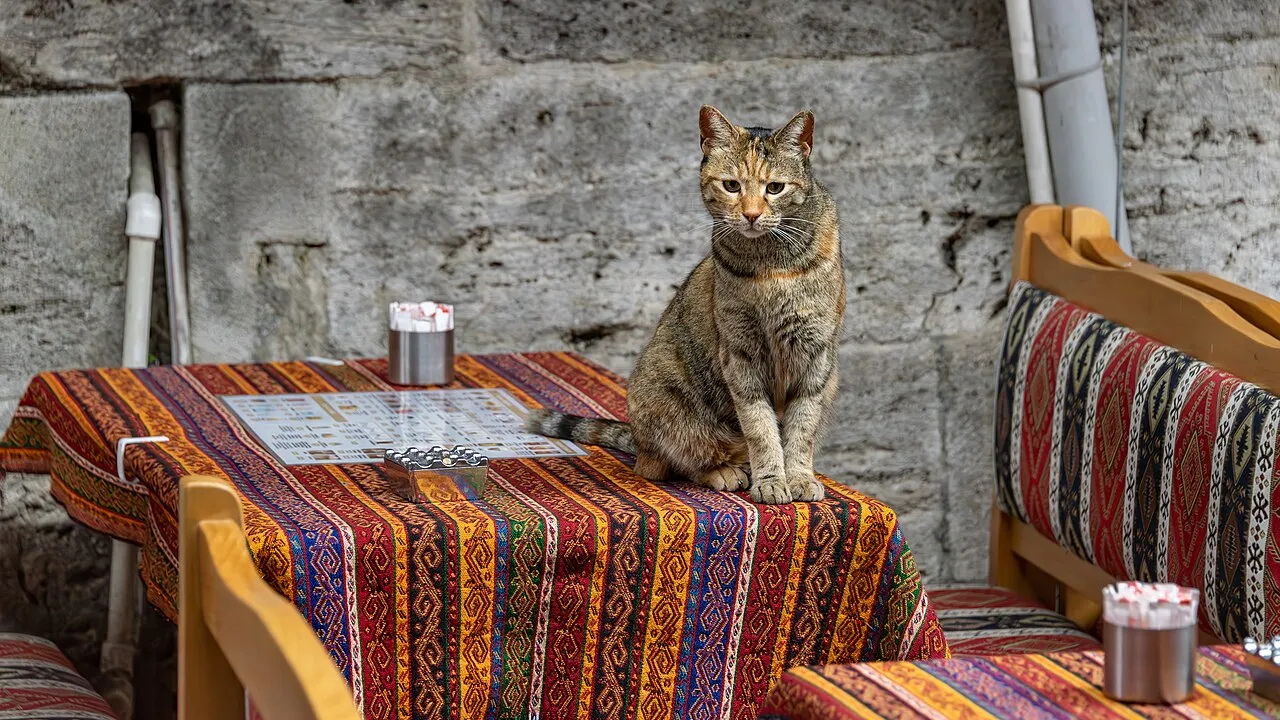Istanbul