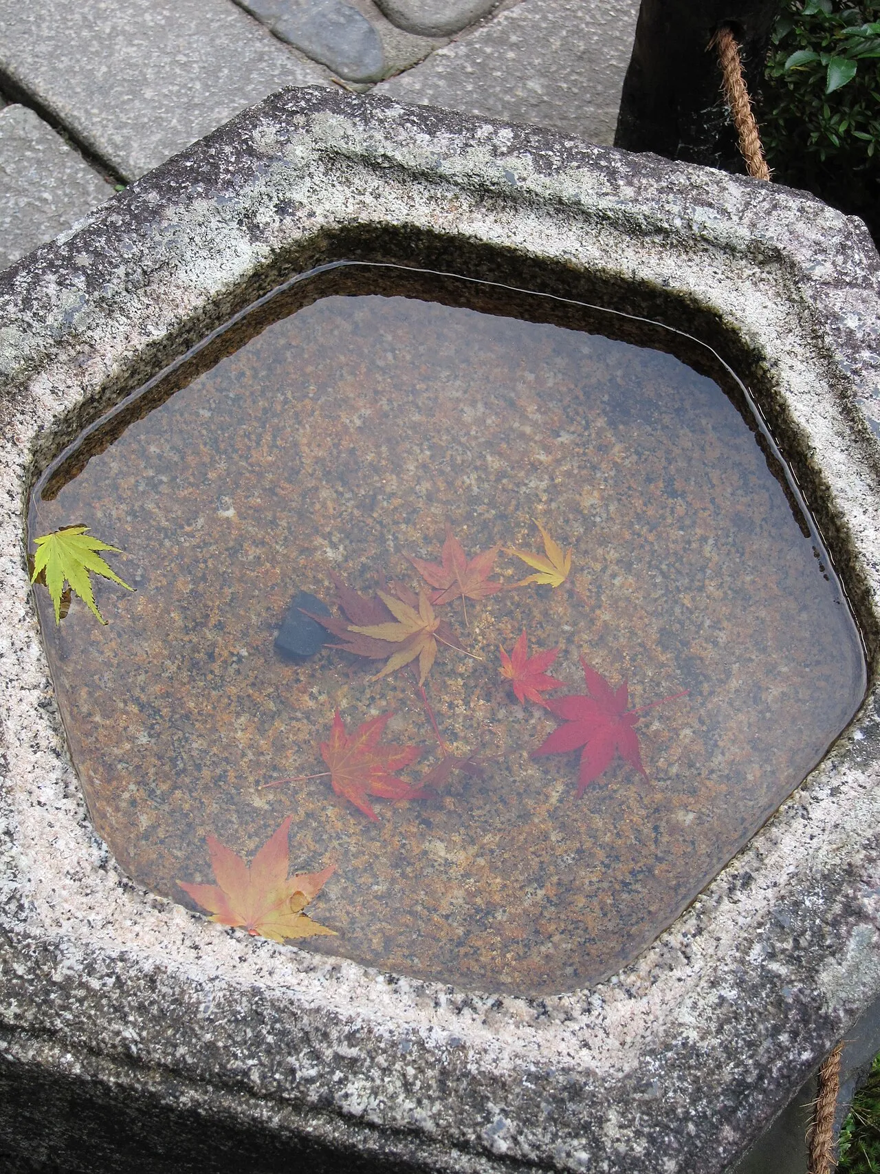 Tofukuji Temple in Autumn, Kyoto