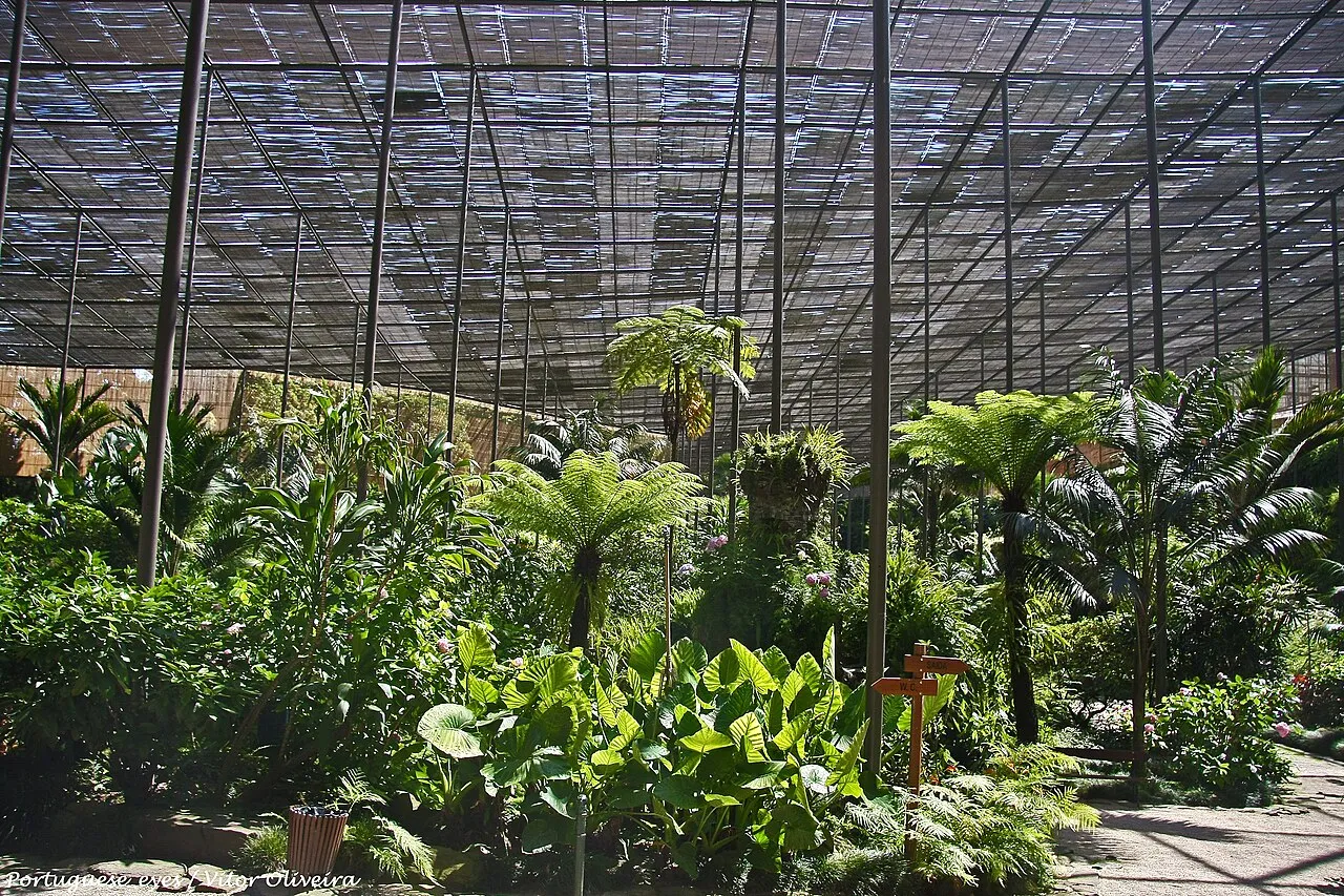 Estufa Fria (Cold Greenhouse), Lisbon