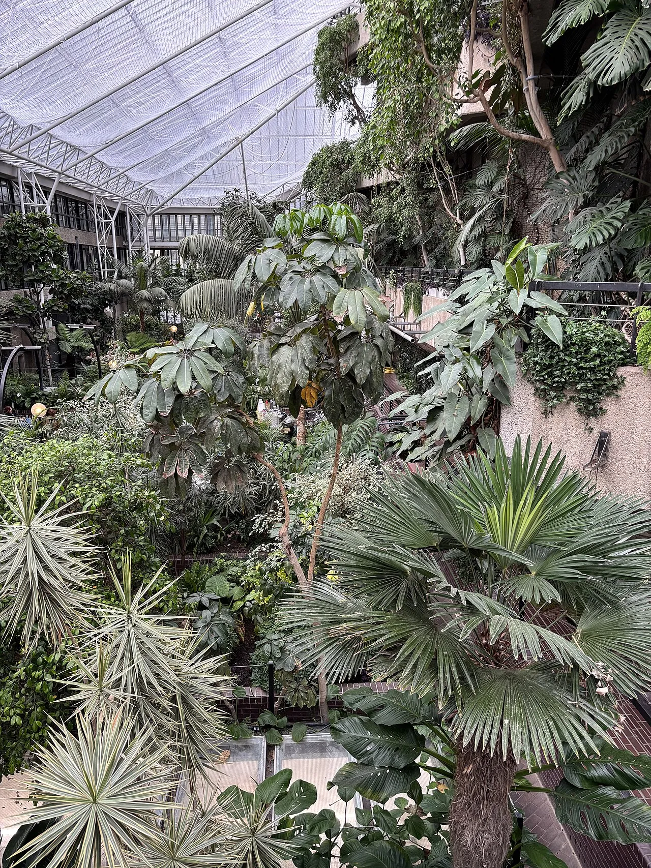 Barbican Conservatory, London
