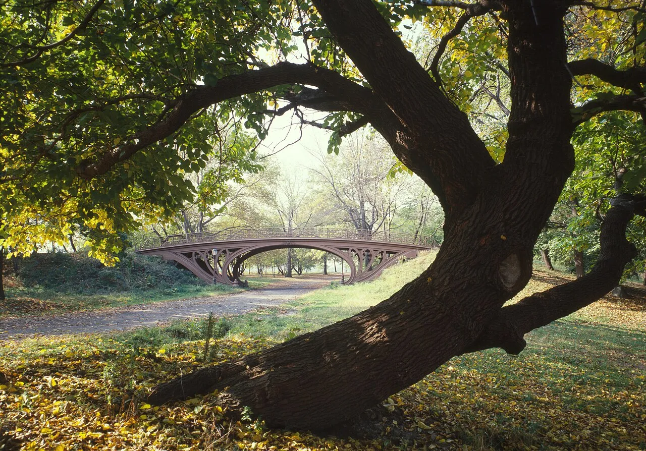 Central Park, New York