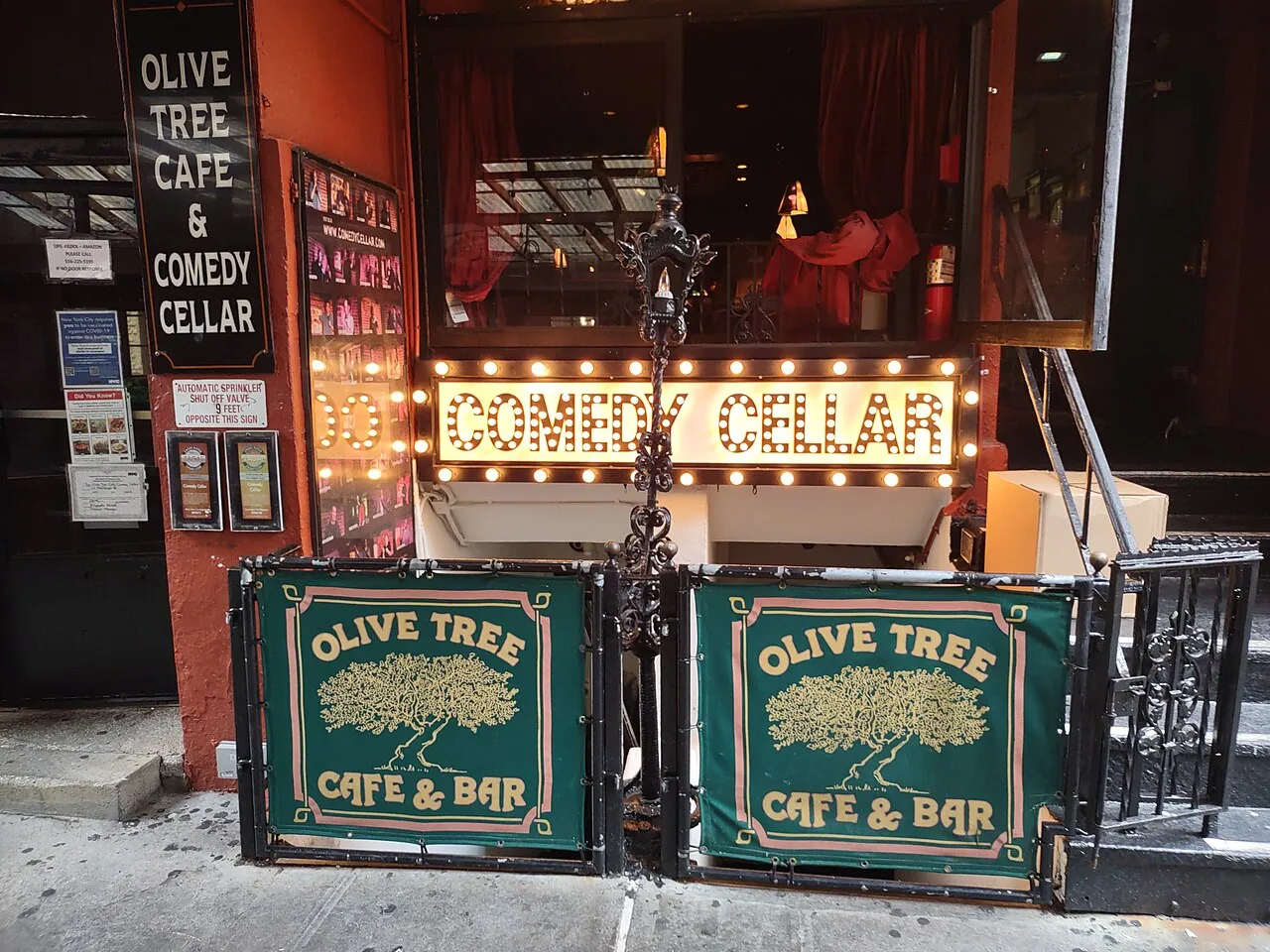Comedy Cellar, New York