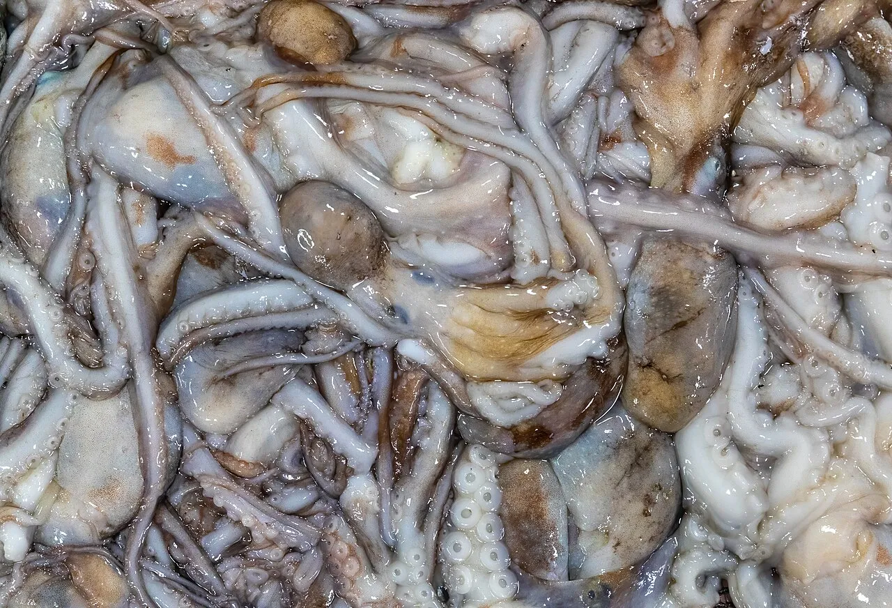 Noryangjin Fish Market, Seoul