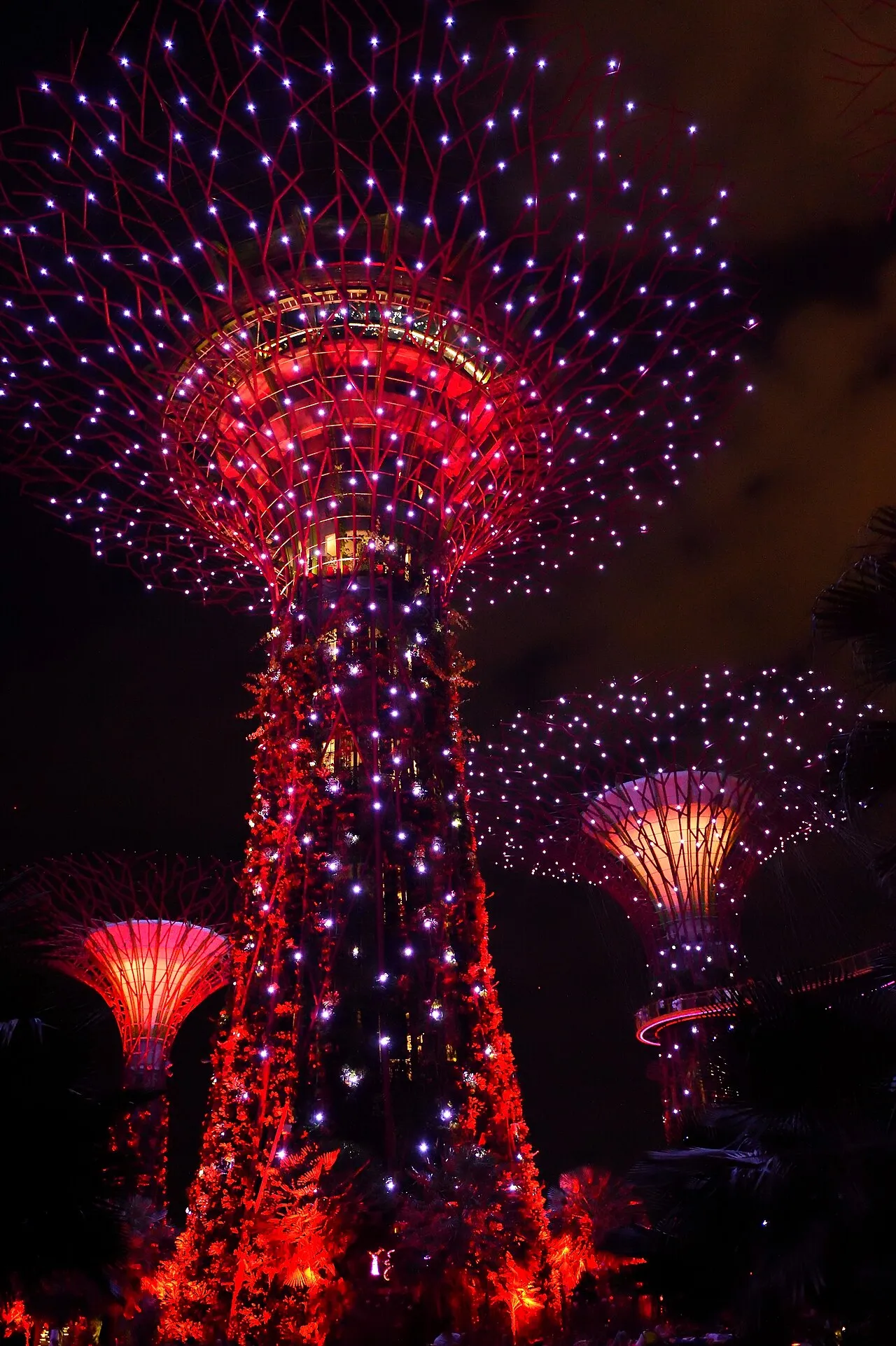 Gardens by the Bay Light Show, Singapore