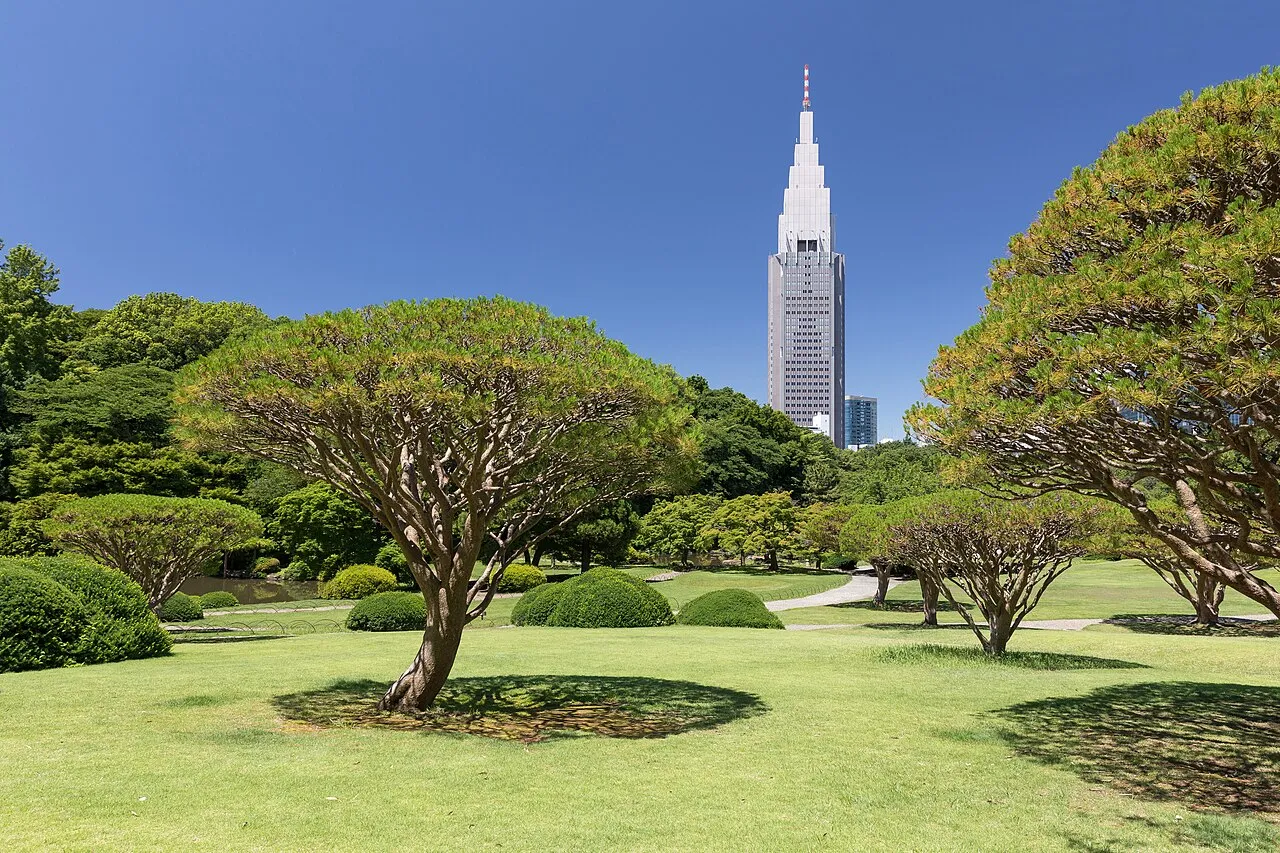 Yoyogi Park, Tokyo
