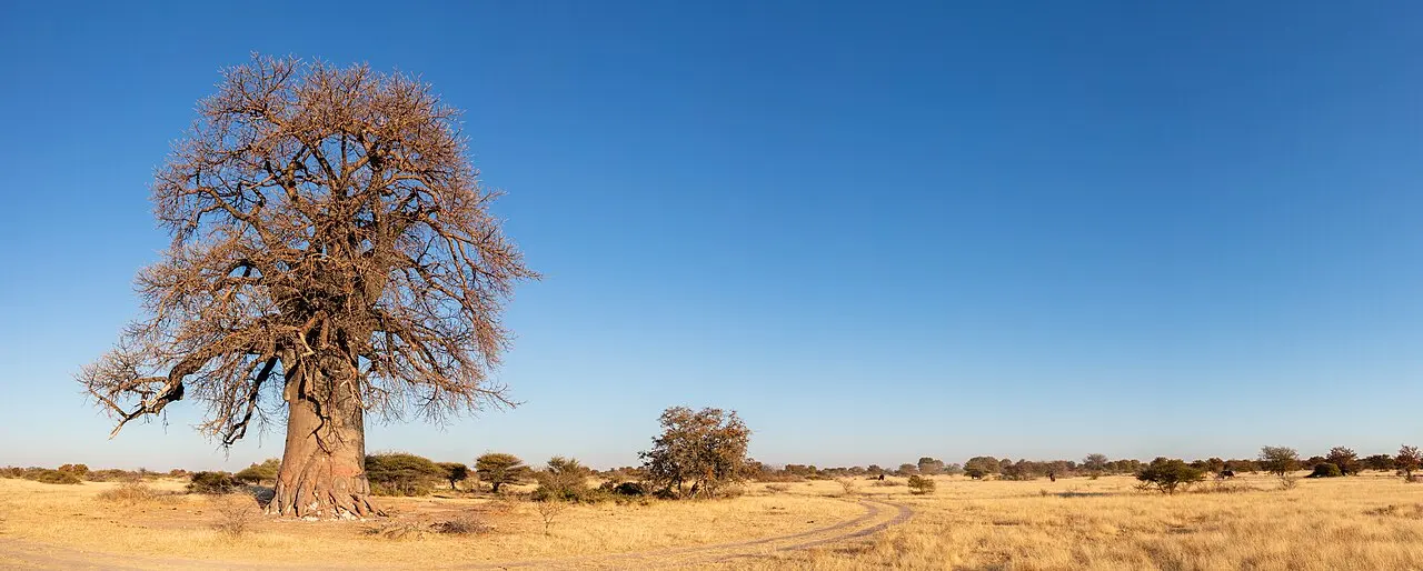 Botswana