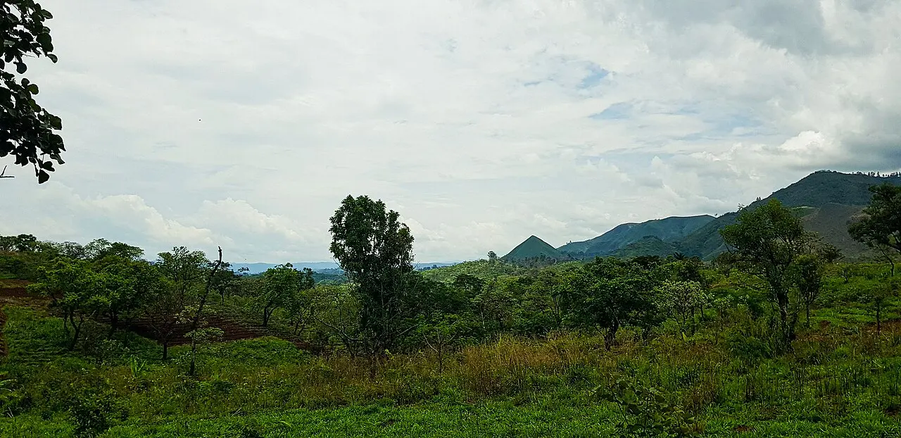 Cameroon