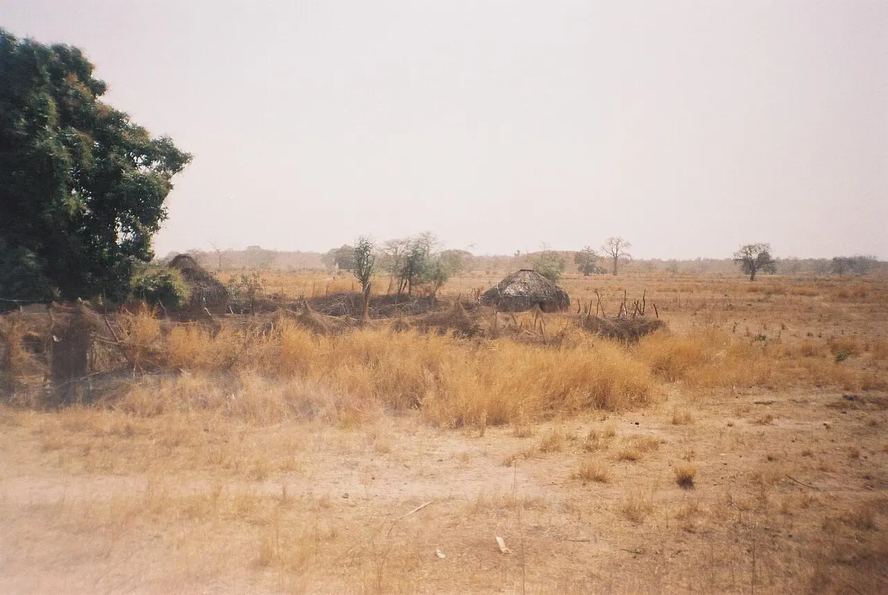 Gambia