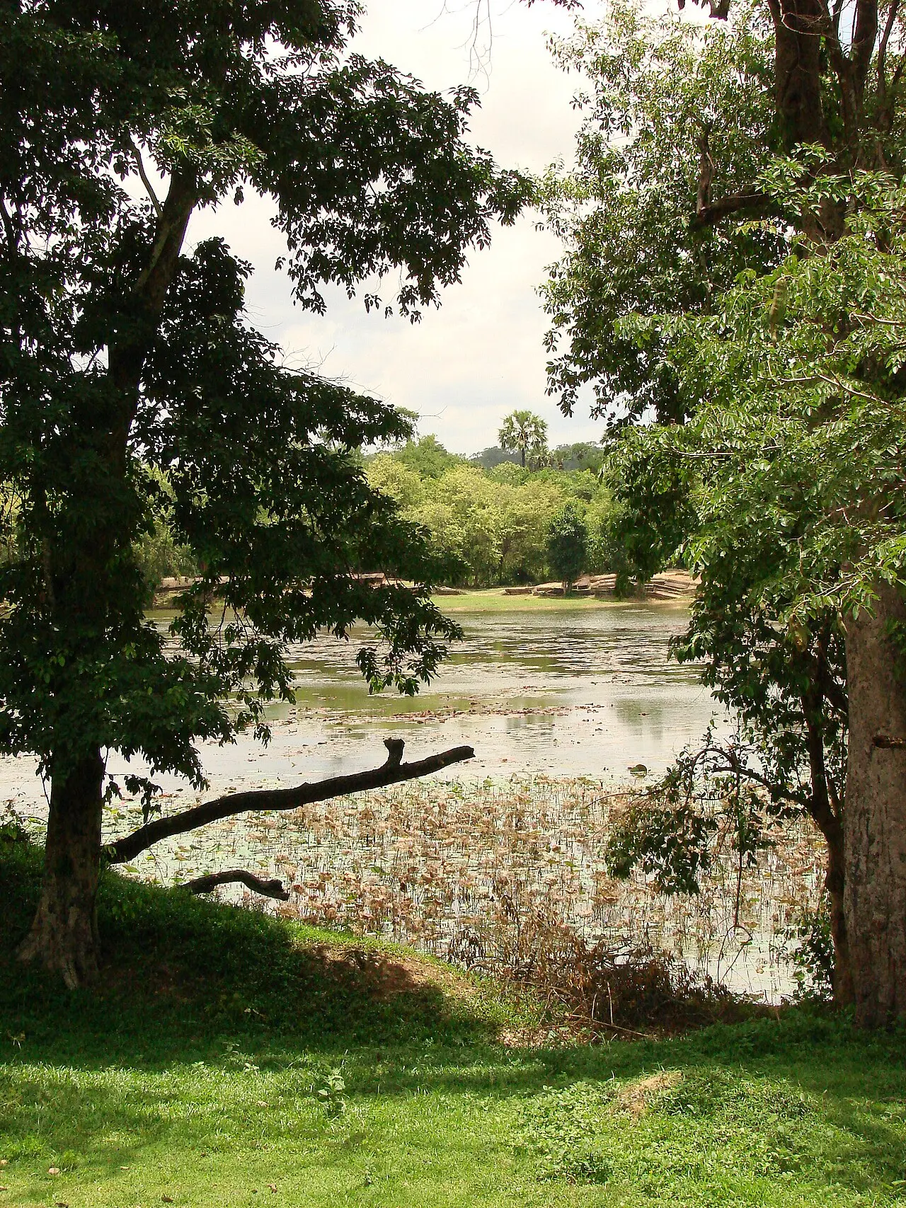 Cambodia