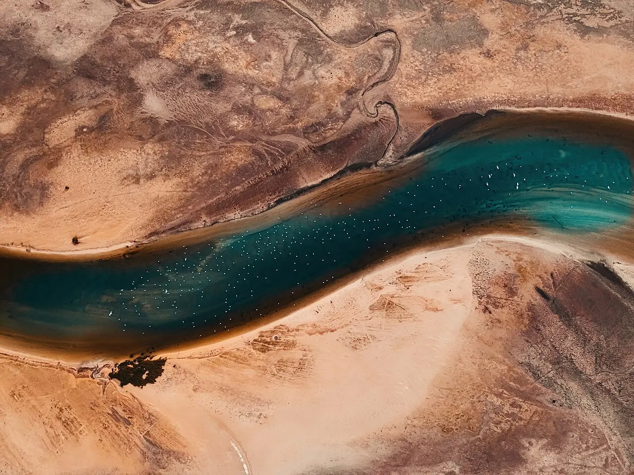 Kuwait landscape