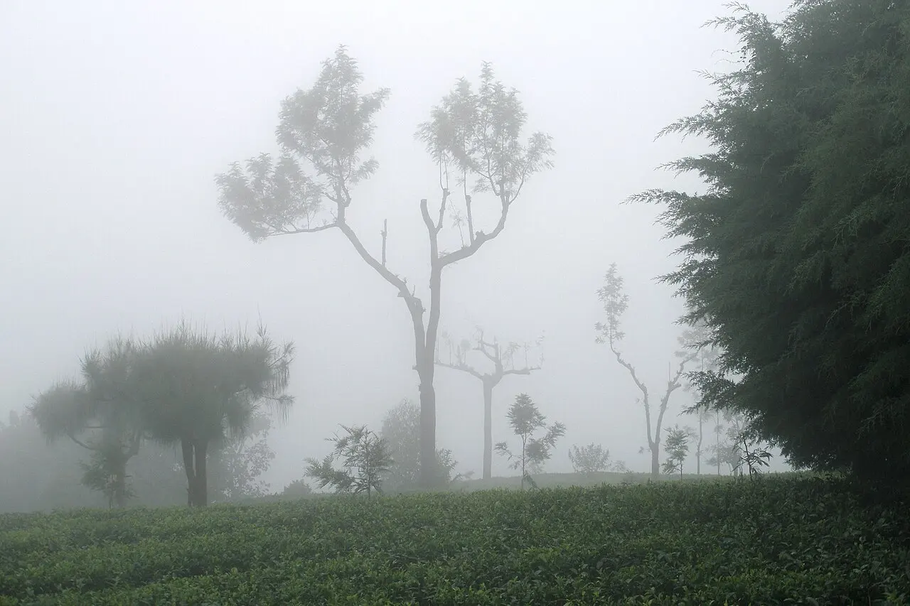 Sri Lanka