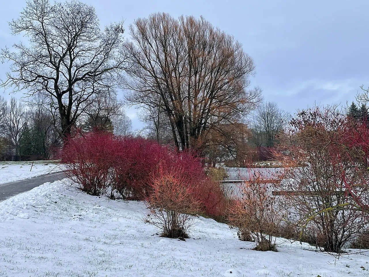 Latvia