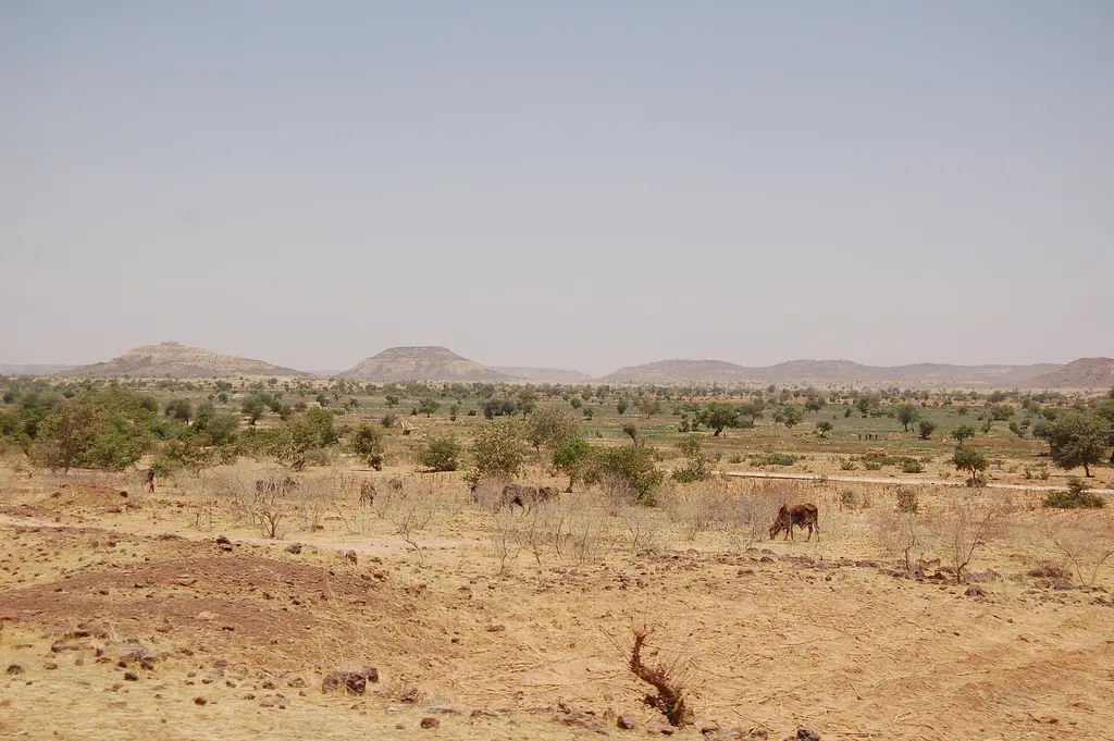 Niger