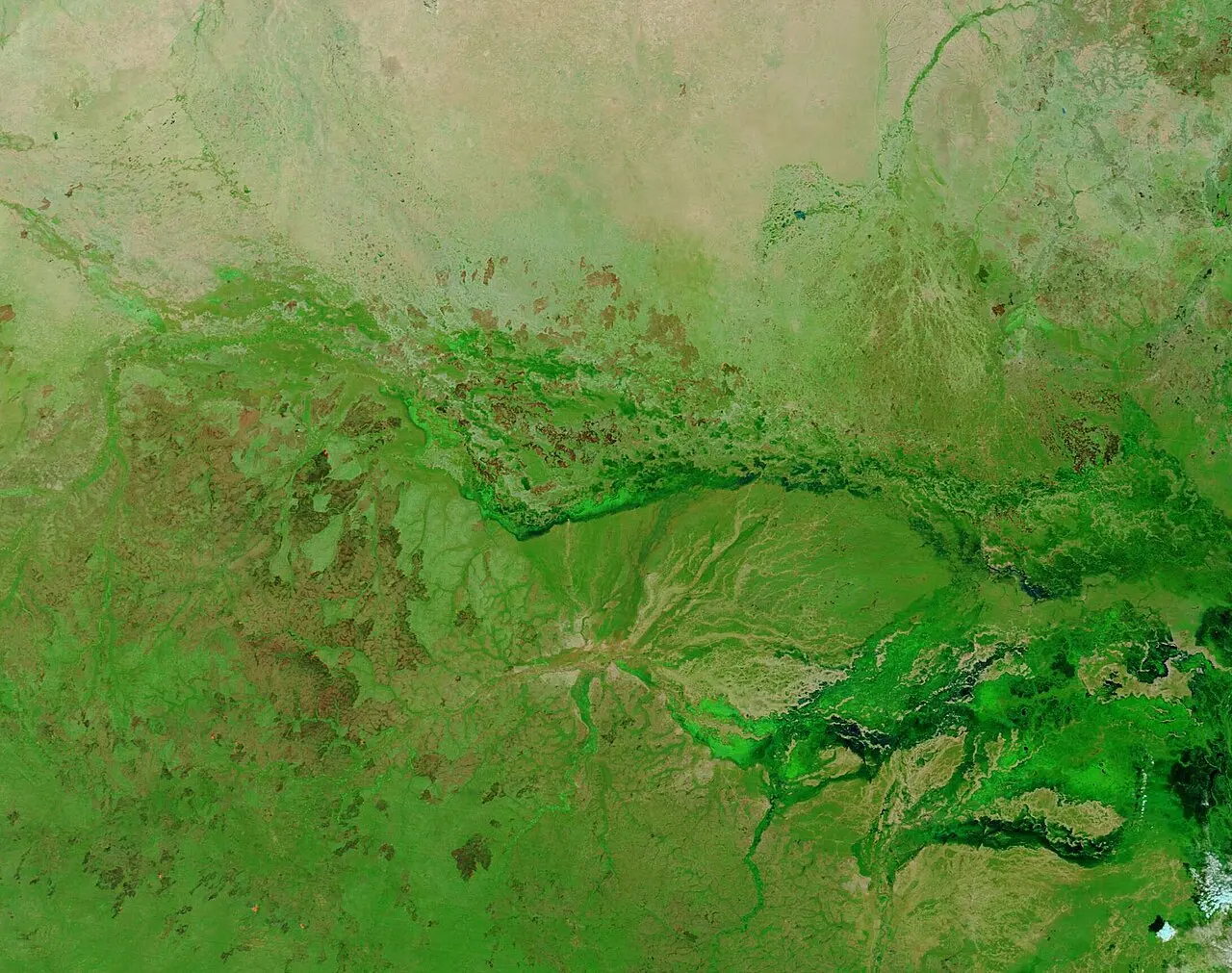 South Sudan