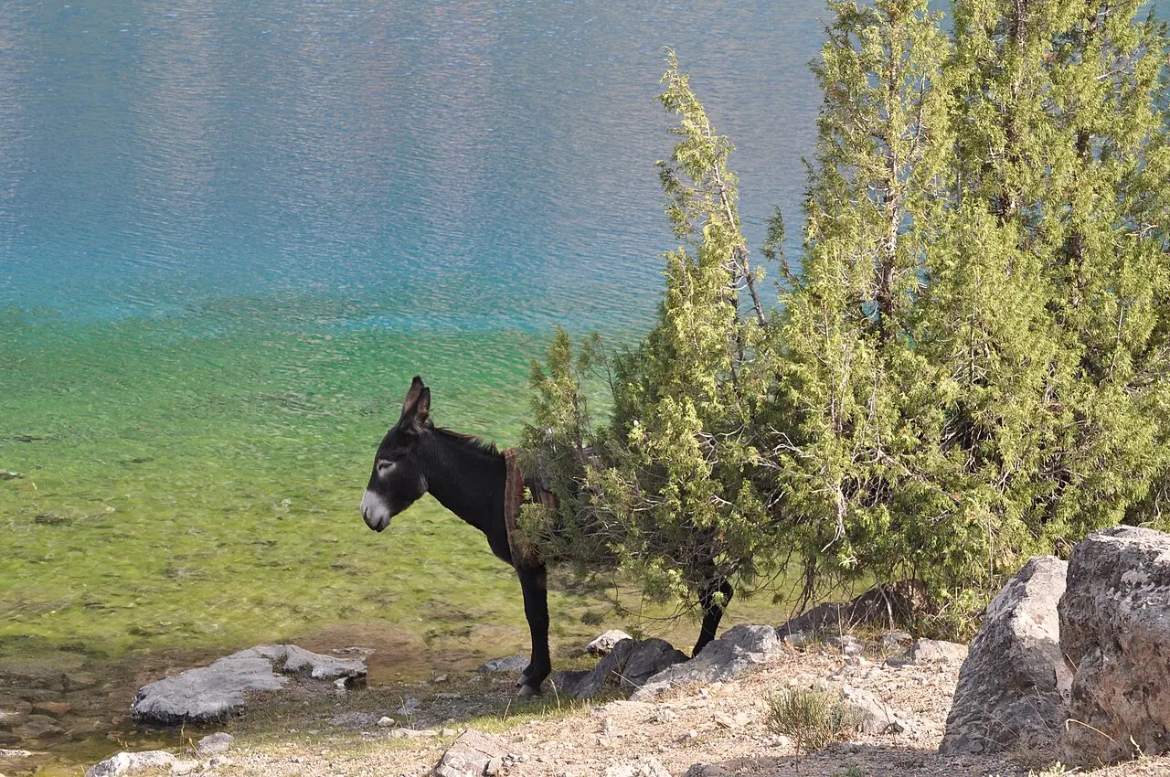 Tajikistan