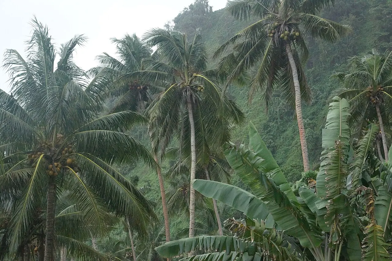 Samoa