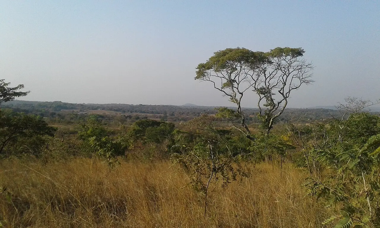 Zambia