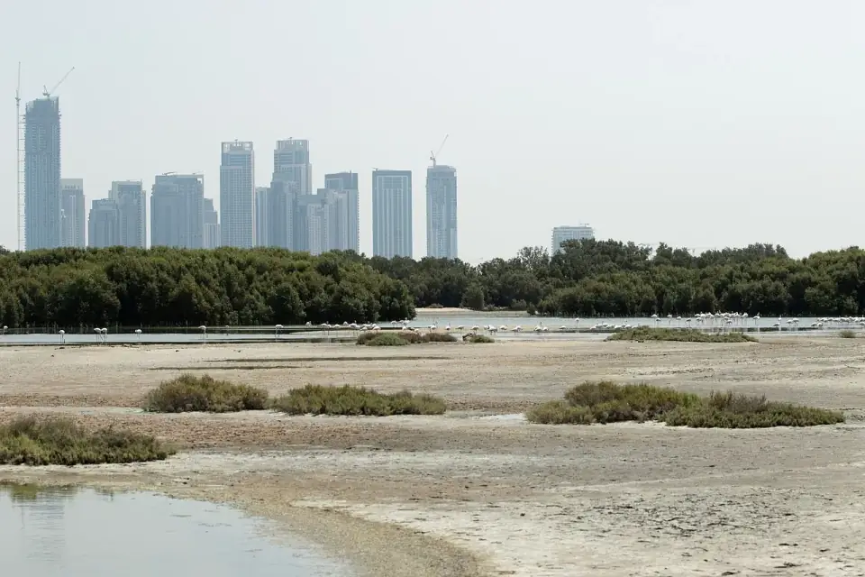 Observatorio de Flamencos de Ras Al Khor, Dubái