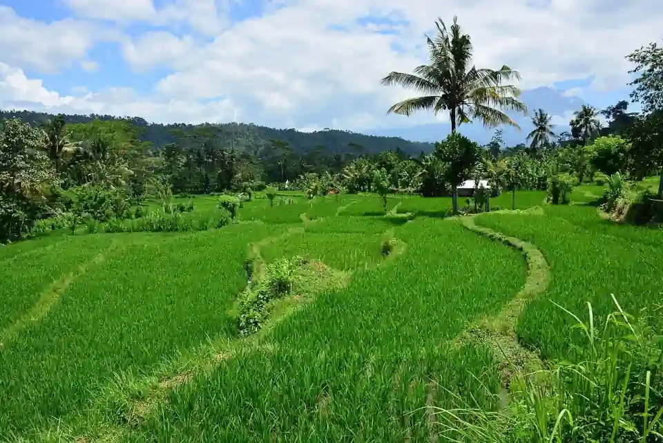 Vallée de Sidemen, Bali