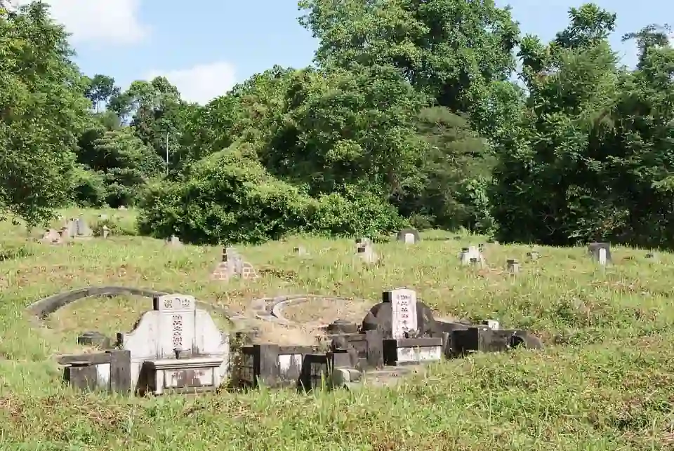Cimetière de Bukit Brown, Singapour