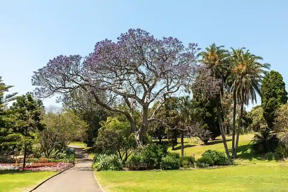 Jardín Botánico Real, Sídney