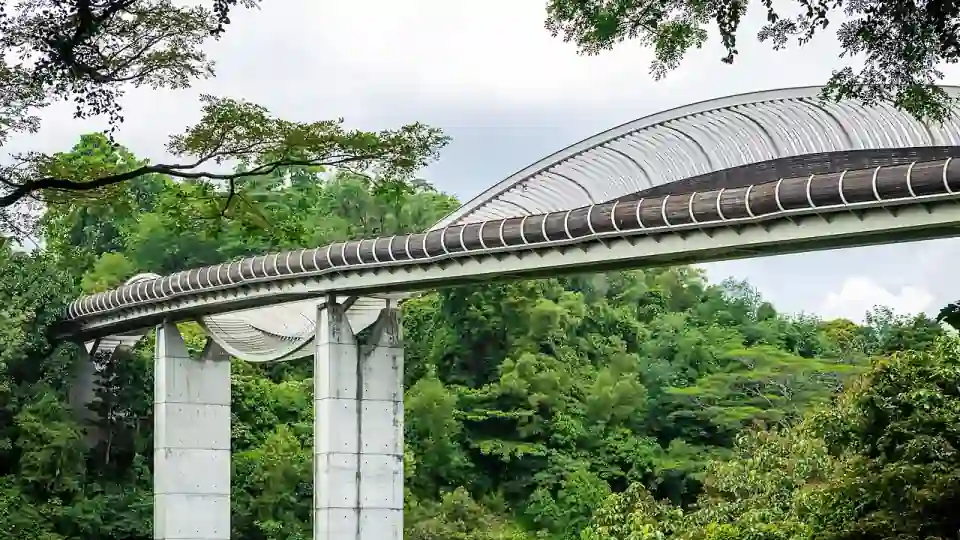 Ponte Henderson Waves, Singapura