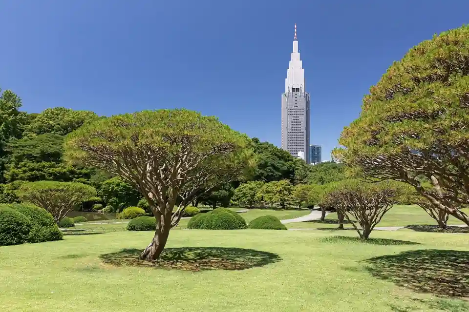 Parque Yoyogi, Tokio