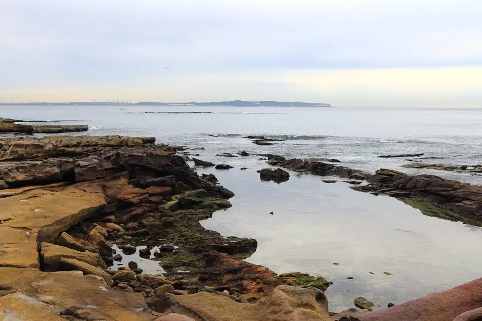 Shelly Beach, Sydney