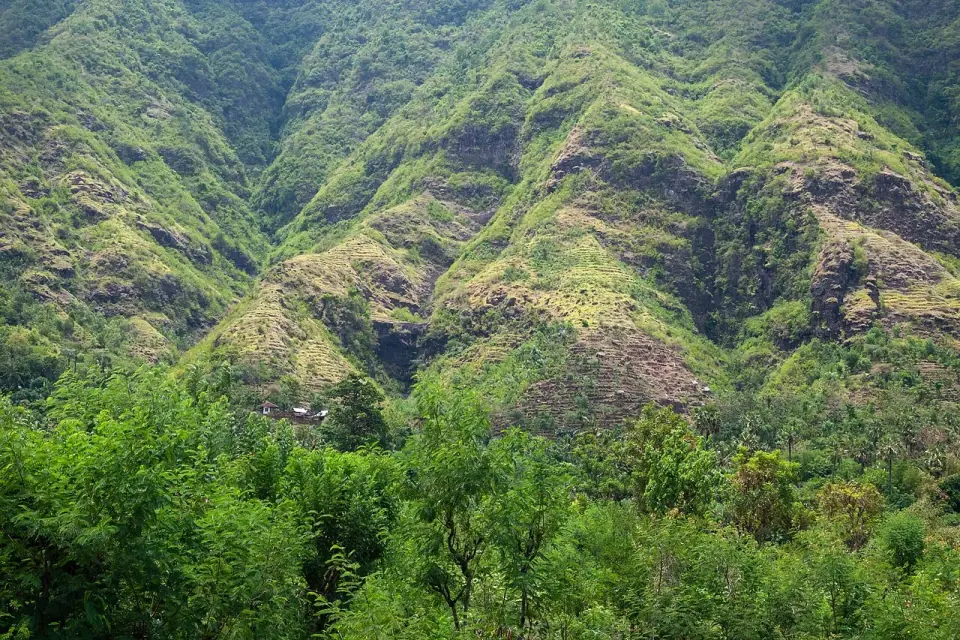 Bali